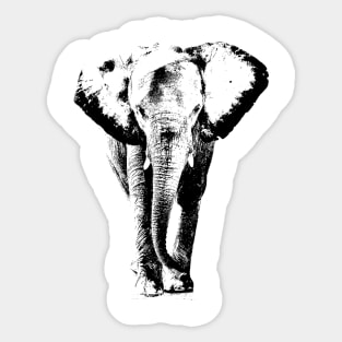 elephant Sticker